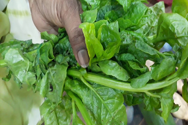 மீண்டும் சூடு செய்யக்கூடாத உணவு