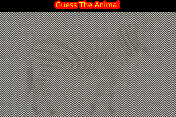 optical illusion Tamil