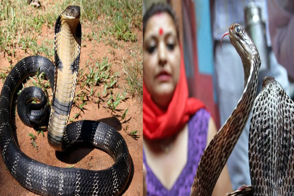 பாம்பு கிராமம்