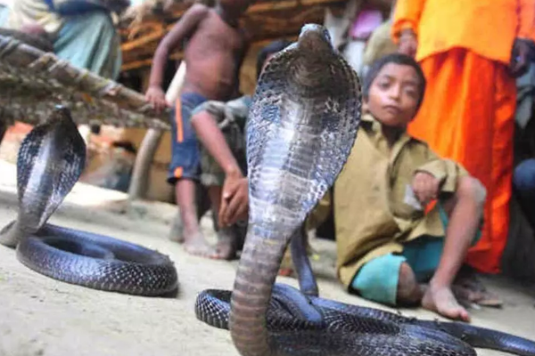 பாம்பு கிராமம்