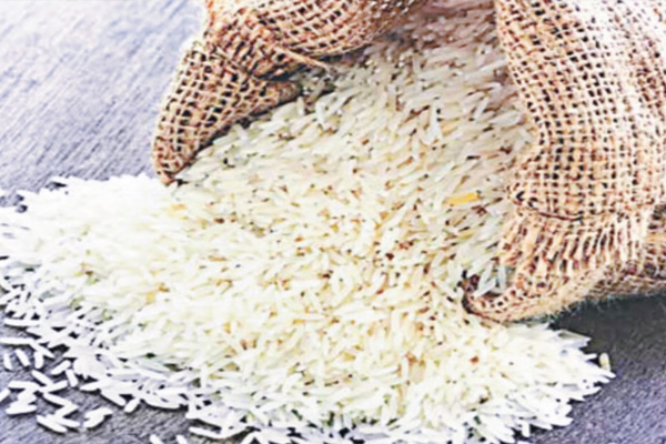 அரிசி பாதுகாப்பு