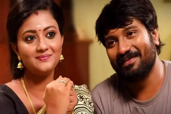 சிறகடிக்க ஆசை சீரியல்