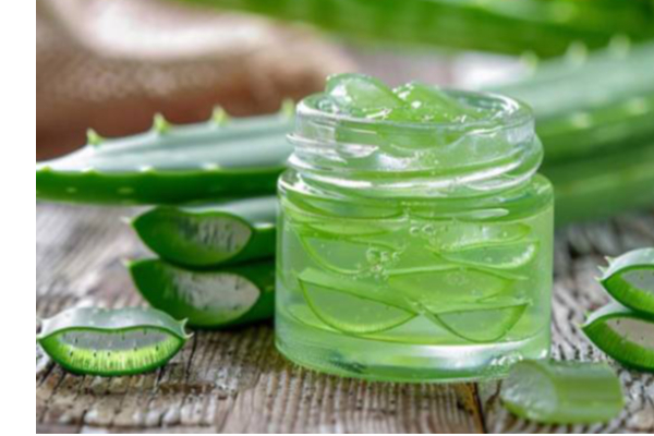 கற்றாழை நன்மை தீமை