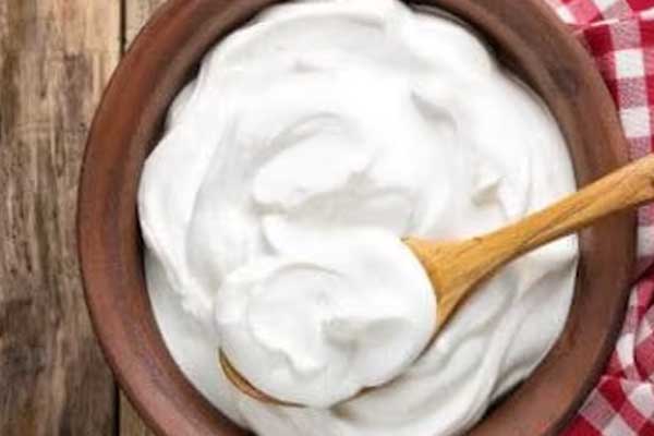 பாலுடன் கூடாத உணவுகள்