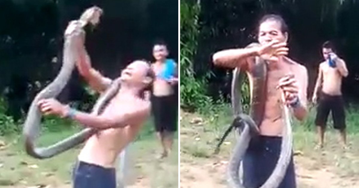 snake