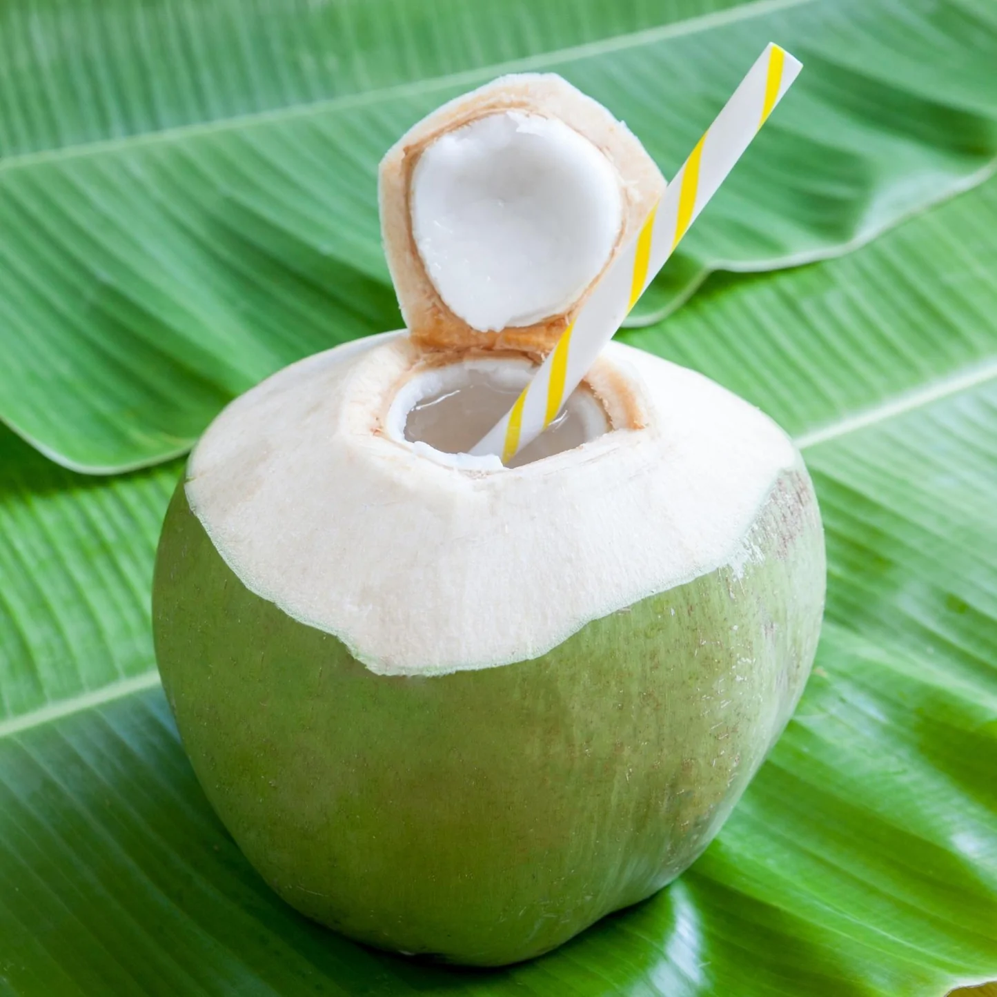 Coconut Water