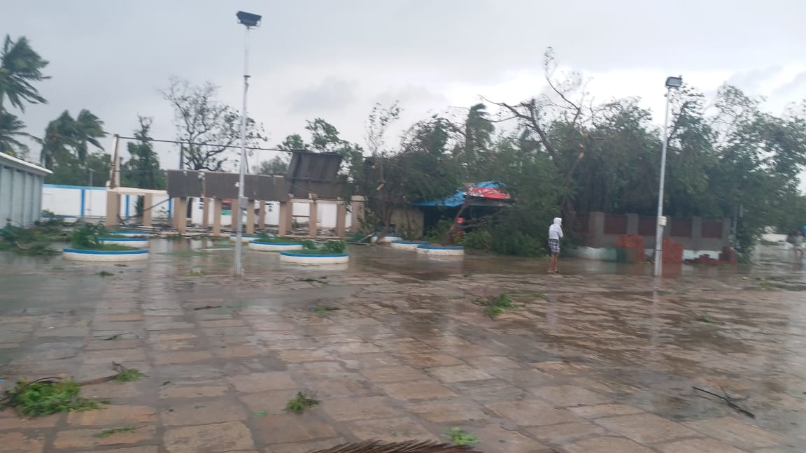 Gaja damaged Velankanni