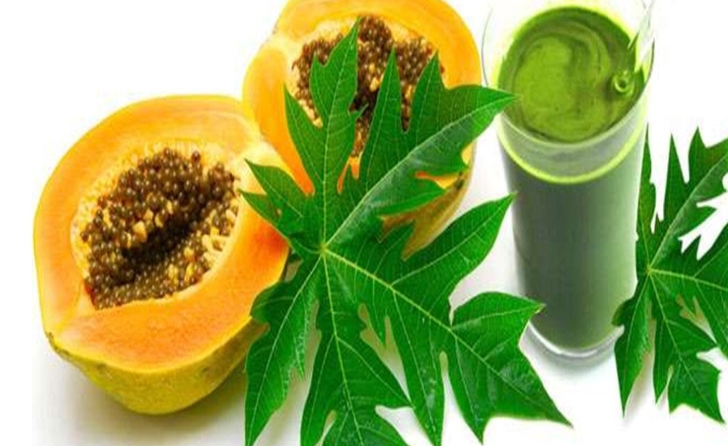Papaya leaf juice
