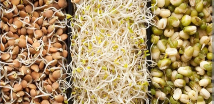 Sprouts