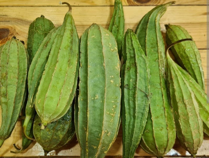 Ridge gourd