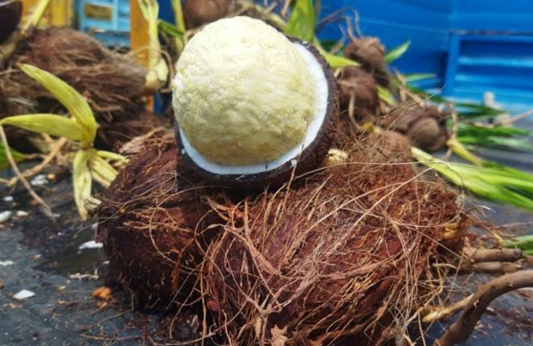 Coconut flower