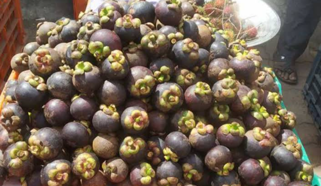 Mangusthan fruit