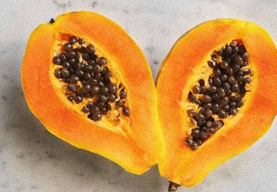 Pappaya