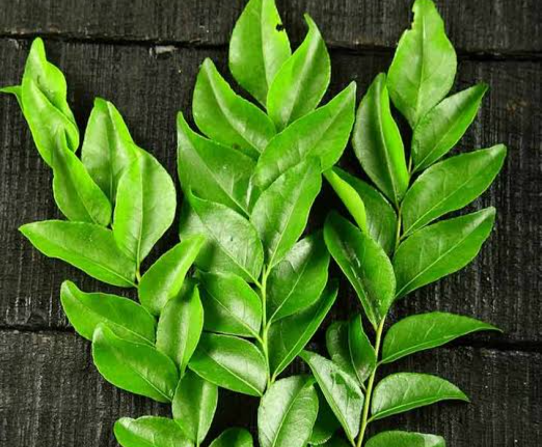Curry leafs