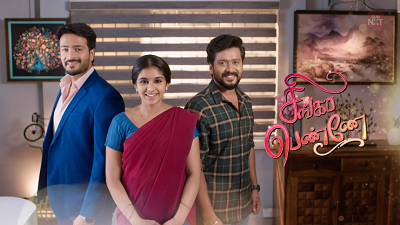 சன் டிவி