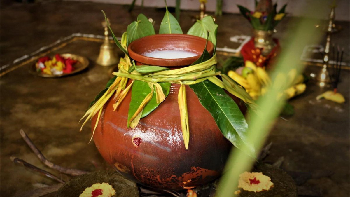 பொங்கல் பரிசு