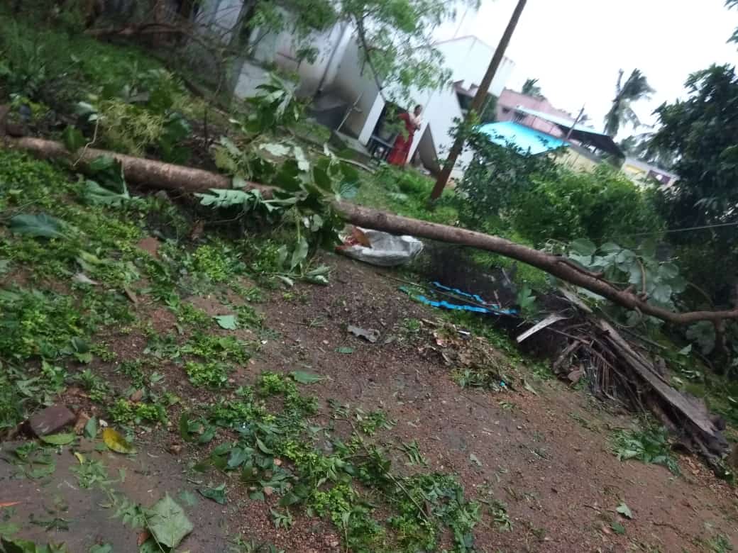 full damage of pudukottai in gaja