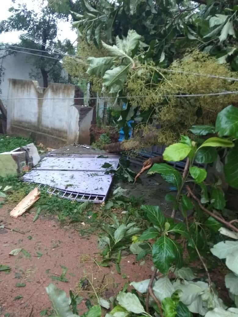full damage of pudukottai in gaja