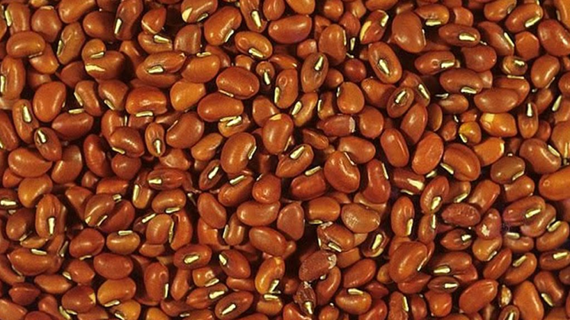 தட்டைப்பயறு