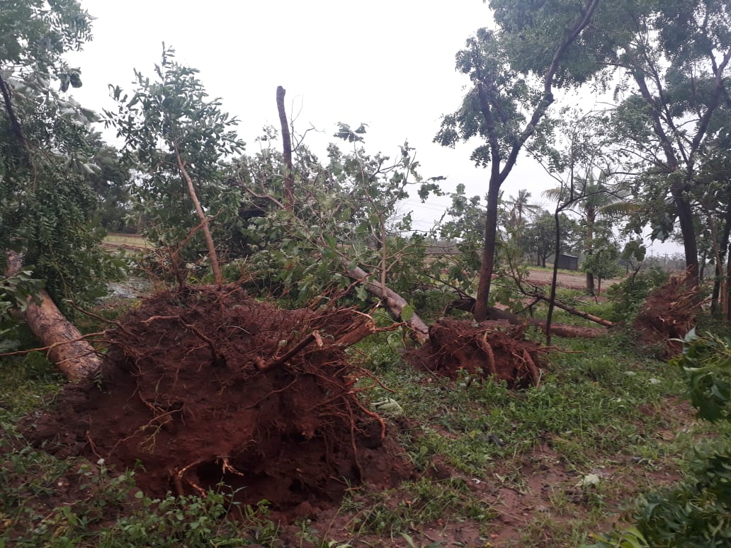 gaja collapsed on village