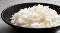 Rice payasam recipe in Tamil 