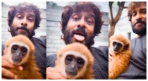 Vikram-lar-gibbon-forest-department-probe