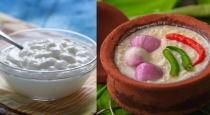 best-time-to-eat-curd-for-health