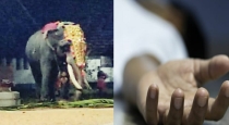mahout-trampled-to-death-by-elephant-during-a-temple-fe