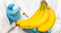 riping-banana-using-chemicals-and-its-side-effects