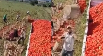 man-loads-tomato-in-truck-using-new-idea-viral-video