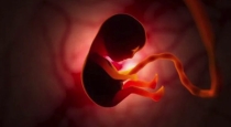 pregnant-women-beware-shocking-information-that-childre
