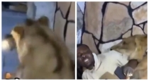 Lion-chasing-viral-video-youth