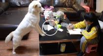 Father use Dog to monitor his daughter viral video 