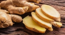 Benefits of eating ginger daily basis 