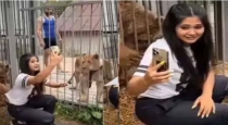 Girl take selfie with lion but bear gave shock 