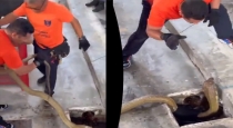 giant-snake-caught-in-water-tank