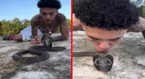 Youth-tames-king-cobra-kiss-video-viral