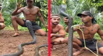 youth-captures-king-cobra-eyes