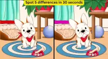 Spot-the-difference-brain-game-30-seconds-tamil