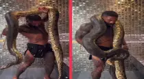 Man-bathing-with-giant-anaconda-viral-video