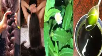 Herbal-hair-oil-for-hair-fall-control