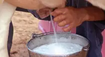 How-to-check-milk-adulteration-at-home