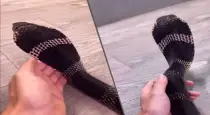 girl-plays-with-king-cobra-video-viral