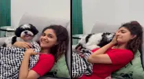 Keerthy-suresh-dog-video-instagram-viral