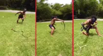 Chicken-snake-chase-viral-video-tamil