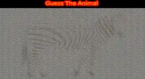 Optical-illusion-brain-eye-test-tamil
