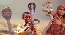 Shedpal-snake-village-india