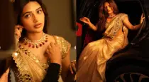 sreelila-golden-saree-photos-viral