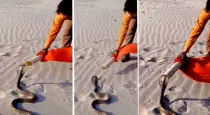 viral-video-manja-bike-cobra
