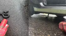 Woman-helps-snake-in-rain-viral-video